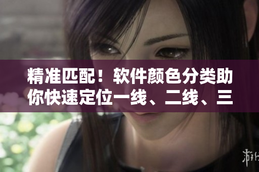 精准匹配！软件颜色分类助你快速定位一线、二线、三线。