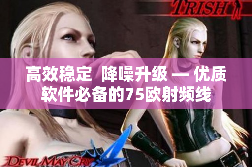 高效稳定  降噪升级 — 优质软件必备的75欧射频线