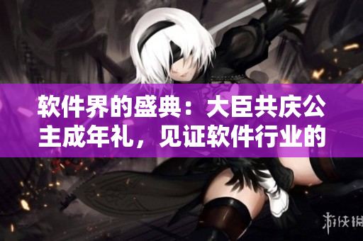 软件界的盛典：大臣共庆公主成年礼，见证软件行业的腾飞