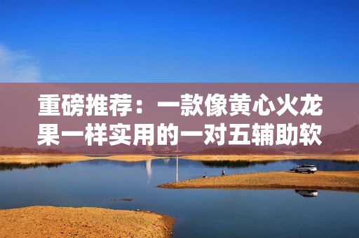 重磅推荐：一款像黄心火龙果一样实用的一对五辅助软件