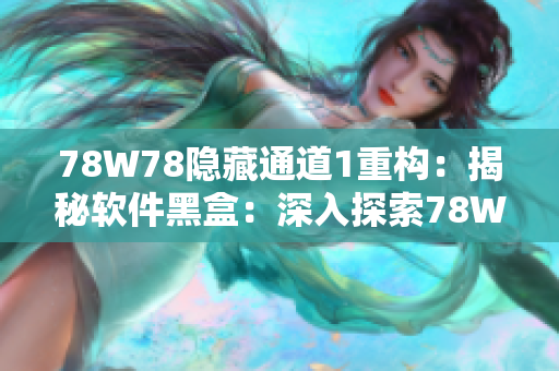 78W78隐藏通道1重构：揭秘软件黑盒：深入探索78W78隐秘路径