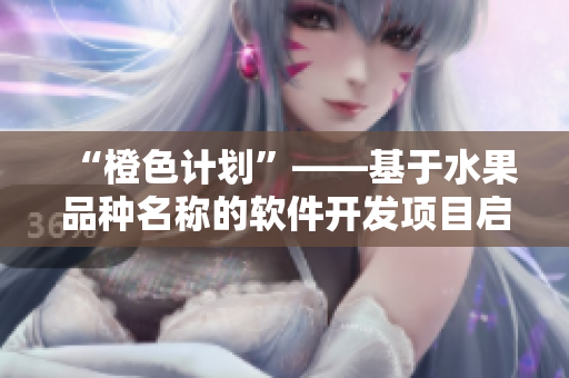 “橙色计划”——基于水果品种名称的软件开发项目启动。