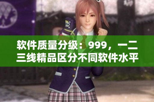 软件质量分级：999，一二三线精品区分不同软件水平 不含符号