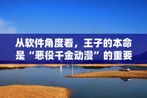 从软件角度看，王子的本命是“恶役千金动漫”的重要元素