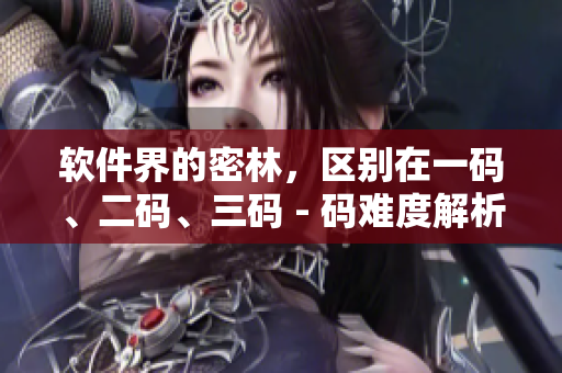 软件界的密林，区别在一码、二码、三码 - 码难度解析