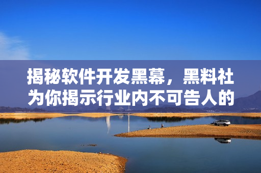 揭秘软件开发黑幕，黑料社为你揭示行业内不可告人的秘密！