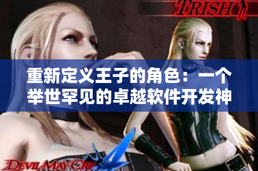 重新定义王子的角色：一个举世罕见的卓越软件开发神童