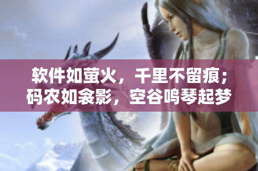 软件如萤火，千里不留痕；码农如衾影，空谷鸣琴起梦。——一篇软件故事