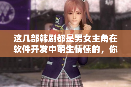 这几部韩剧都是男女主角在软件开发中萌生情愫的，你看过几部？