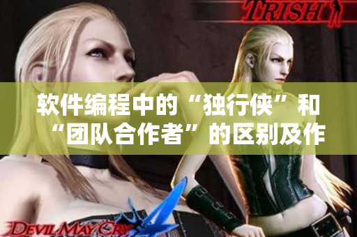 软件编程中的“独行侠”和“团队合作者”的区别及作用分析