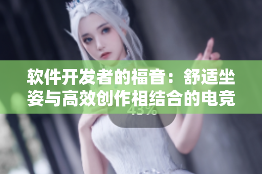 软件开发者的福音：舒适坐姿与高效创作相结合的电竞椅