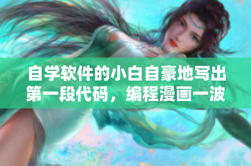 自学软件的小白自豪地写出第一段代码，编程漫画一波流