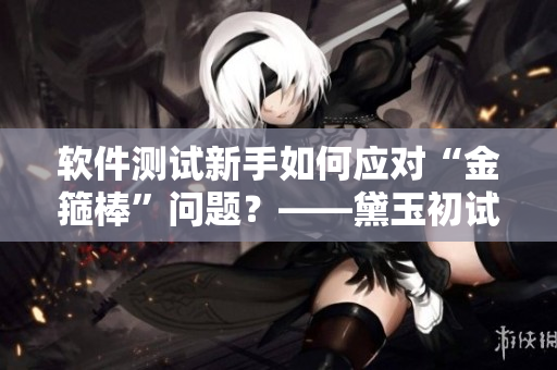 软件测试新手如何应对“金箍棒”问题？——黛玉初试软件测试
