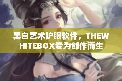 黑白艺术护眼软件，THEWHITEBOX专为创作而生