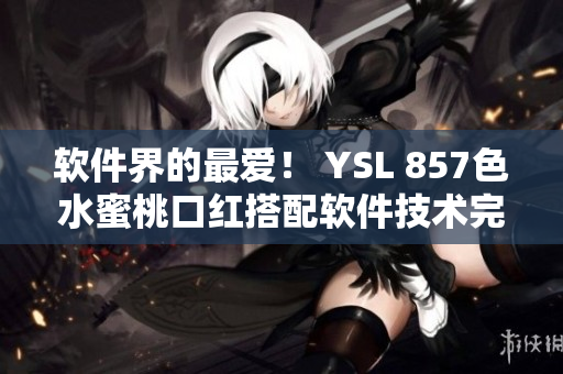 软件界的最爱！ YSL 857色水蜜桃口红搭配软件技术完美上妆