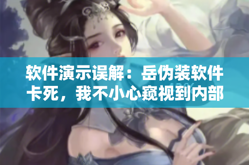 软件演示误解：岳伪装软件卡死，我不小心窥视到内部功能