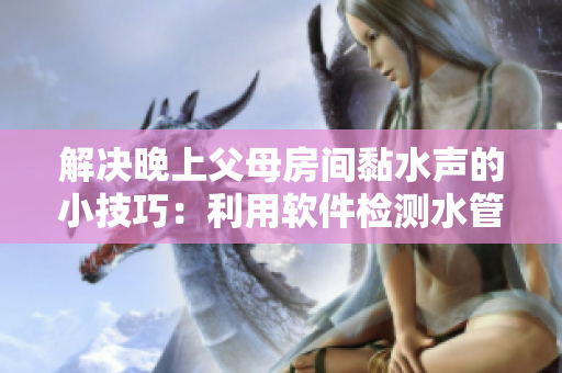 解决晚上父母房间黏水声的小技巧：利用软件检测水管漏水问题