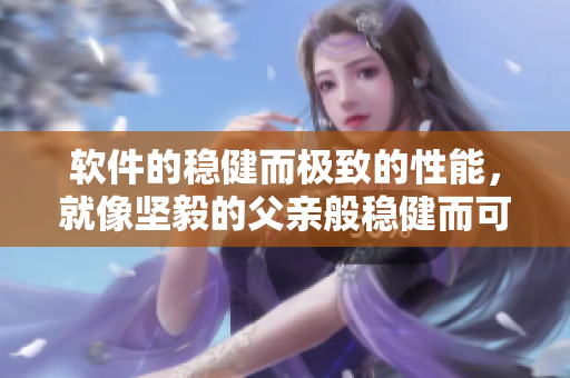 软件的稳健而极致的性能，就像坚毅的父亲般稳健而可靠