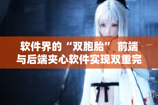 软件界的“双胞胎” 前端与后端夹心软件实现双重完美。