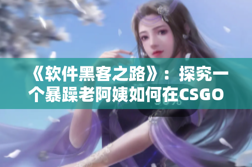《软件黑客之路》：探究一个暴躁老阿姨如何在CSGO中占据制高点