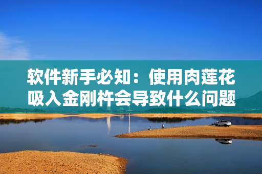 软件新手必知：使用肉莲花吸入金刚杵会导致什么问题？