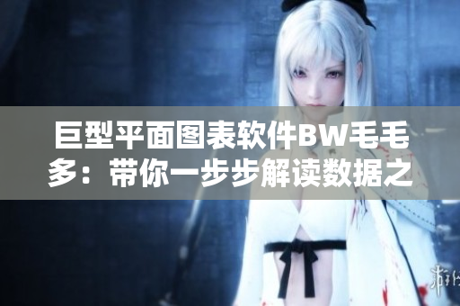 巨型平面图表软件BW毛毛多：带你一步步解读数据之美