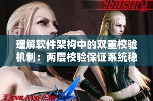 理解软件架构中的双重校验机制：两层校验保证系统稳定性