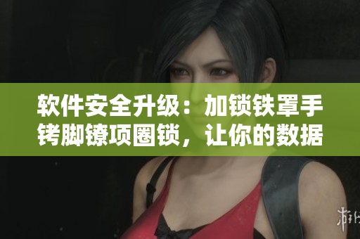 软件安全升级：加锁铁罩手铐脚镣项圈锁，让你的数据更安全