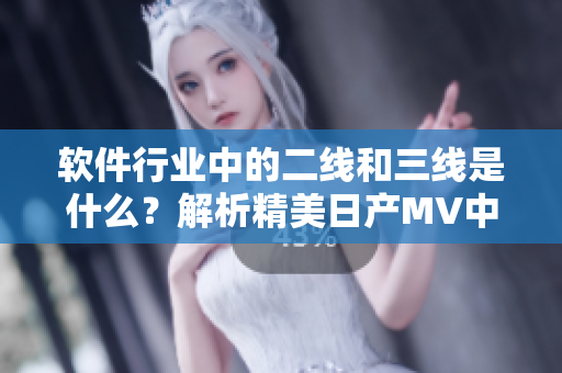 软件行业中的二线和三线是什么？解析精美日产MV中的行业术语