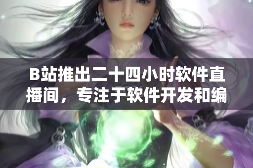 B站推出二十四小时软件直播间，专注于软件开发和编程技术分享