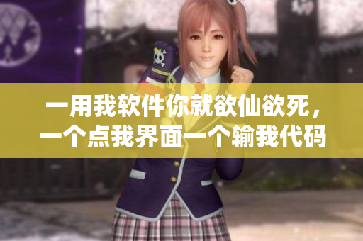 一用我软件你就欲仙欲死，一个点我界面一个输我代码