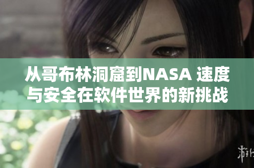 从哥布林洞窟到NASA 速度与安全在软件世界的新挑战
