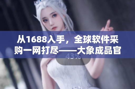 从1688入手，全球软件采购一网打尽——大象成品官网帮您实现无缝采购！