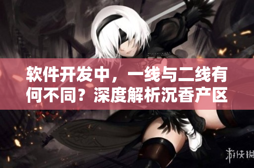 软件开发中，一线与二线有何不同？深度解析沉香产区的差异