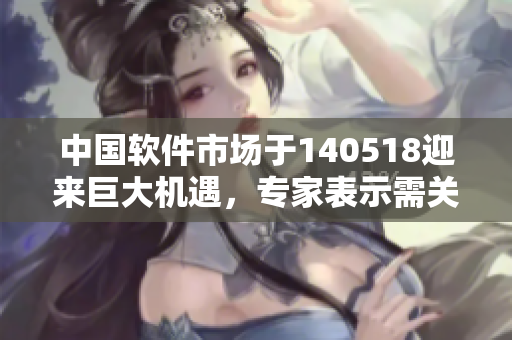 中国软件市场于140518迎来巨大机遇，专家表示需关注新兴技术