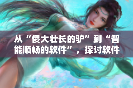 从“傻大壮长的驴”到“智能顺畅的软件”，探讨软件优化之路。