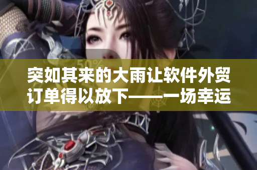 突如其来的大雨让软件外贸订单得以放下——一场幸运的暴雨！