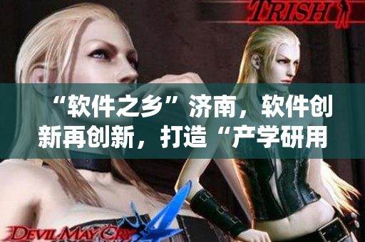 “软件之乡”济南，软件创新再创新，打造“产学研用”互动生态系统