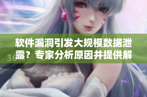 软件漏洞引发大规模数据泄露？专家分析原因并提供解决方案