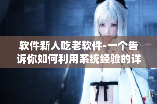 软件新人吃老软件-一个告诉你如何利用系统经验的详细指南