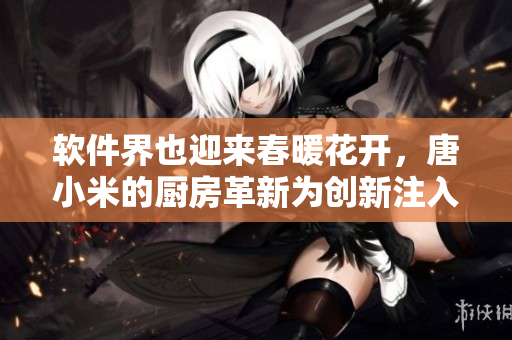 软件界也迎来春暖花开，唐小米的厨房革新为创新注入活力
