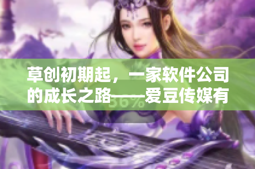 草创初期起，一家软件公司的成长之路——爱豆传媒有限公司的发展历程