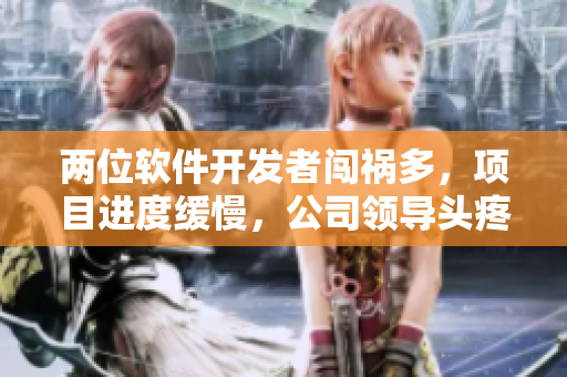 两位软件开发者闯祸多，项目进度缓慢，公司领导头疼不已