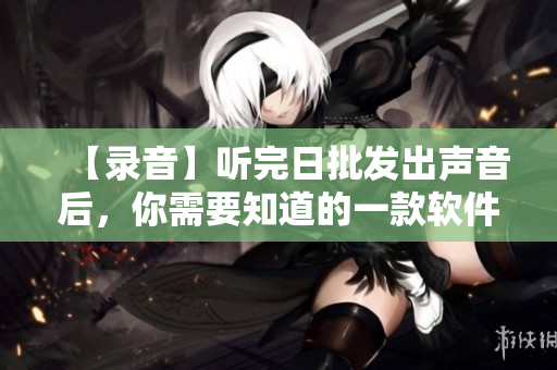 【录音】听完日批发出声音后，你需要知道的一款软件——详解xxxx