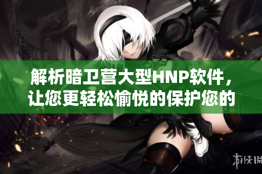 解析暗卫营大型HNP软件，让您更轻松愉悦的保护您的电脑