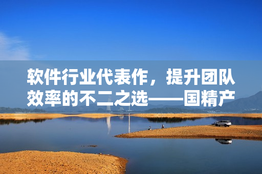软件行业代表作，提升团队效率的不二之选——国精产品8220