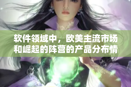 软件领域中，欧美主流市场和崛起的阵营的产品分布情况