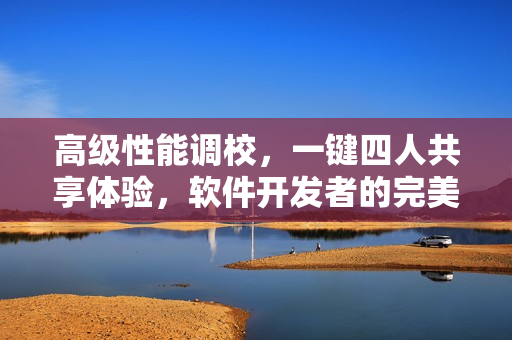 高级性能调校，一键四人共享体验，软件开发者的完美选择