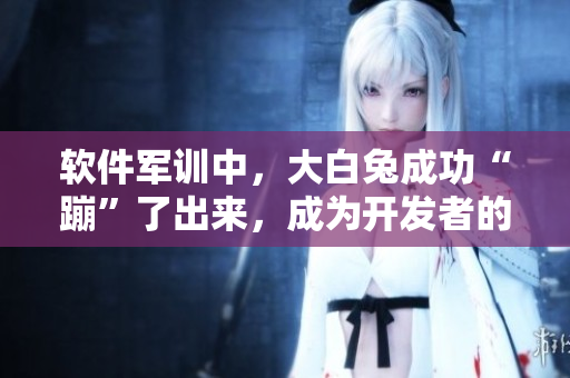 软件军训中，大白兔成功“蹦”了出来，成为开发者的“甜蜜源泉”