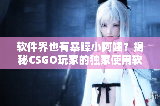 软件界也有暴躁小阿姨？揭秘CSGO玩家的独家使用软件